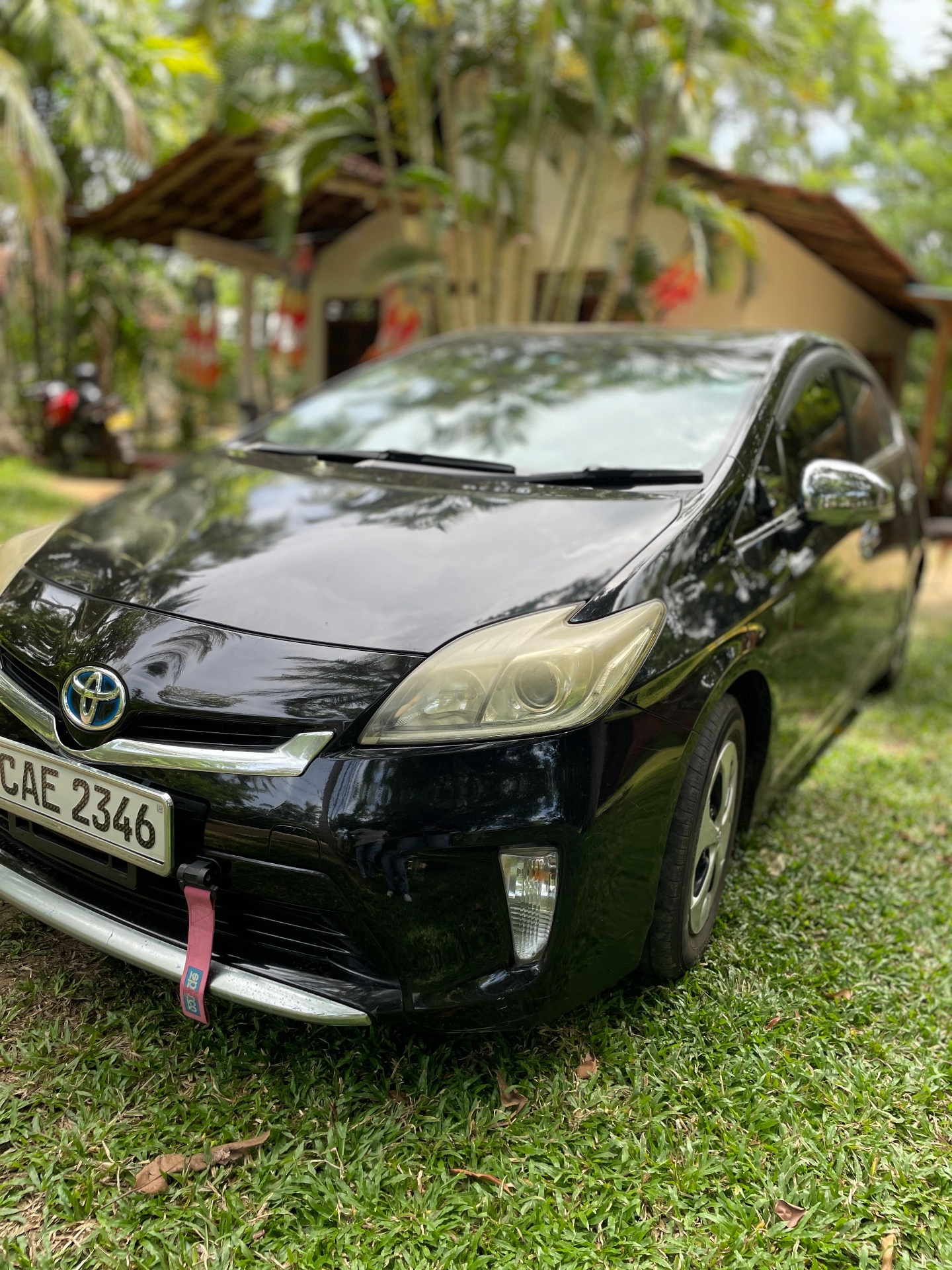 Toyota Prius Hybrid front view — Lotus Tours private vehicle