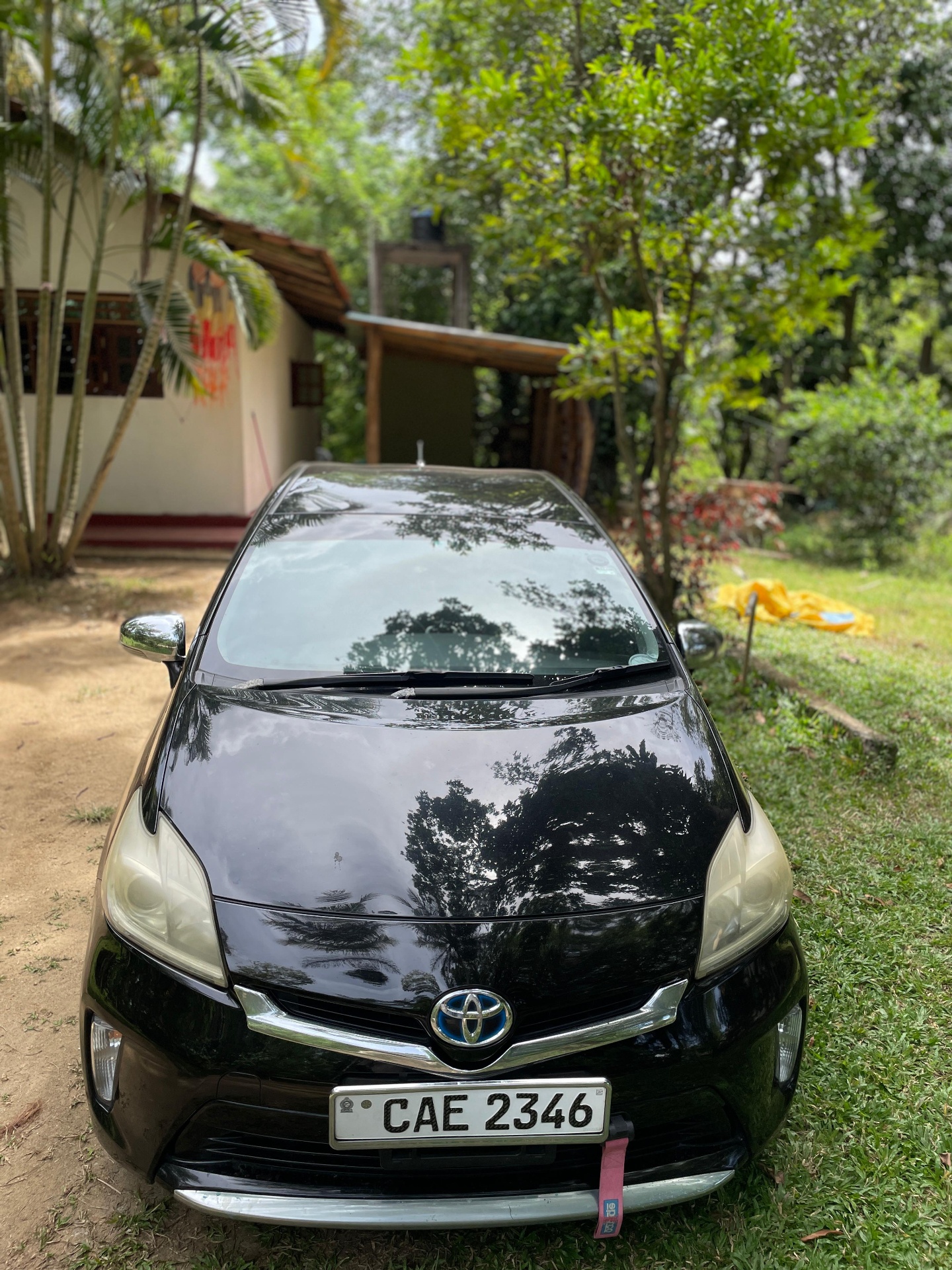 Toyota Prius Hybrid top-down view parked under palm trees